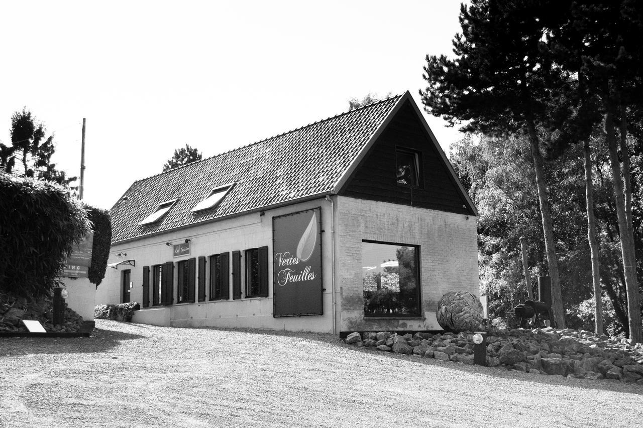 Vertes Feuilles Saint-Sauveur Exteriér fotografie